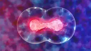 Η θεραπευτική κλωνοποίηση | Talking Science® Live με τον Δρ Στάθη Γκόνο #Shorts